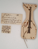 CollectionObject 1559417; 07638f2e-10fd-449d-9943-5362739d60f5: copyright SAM, Adelaide. female of Lonchodes caurus, data labels removed (holotype). (CollectionObject).