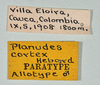 CollectionObject 1561269; 88ea192f-2d65-415d-bf30-3d6495bb4678: copyright USNM, Washington. (CollectionObject).
