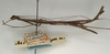 CollectionObject 1557174; NMW 969, 3a947a25-6407-47f9-b96e-72351092378a: copyright NMW, Vienna. male, lateral view (syntype). (CollectionObject).