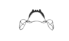 Chloropseustes leucotylus Rehn, 1918: Fig. 32E. epiphallus, anterior view. (Otu).