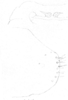 Pygofer, lateral view: Pygofer, lateral view. (Observation).