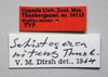 CollectionObject 1531156; 8dbe7e4a-b504-42fc-8744-67e3aa66f111: labels (holotype). (CollectionObject).