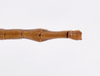 CollectionObject 1559355; 0193261d-2bb4-4e99-8f68-b498bec60f92: copyright ZMHB, Berlin. male: end of abdomen, dorsal view (holotype). (CollectionObject).