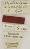 CollectionObject 1529773; 9d18575e-2a48-4dd9-94c0-8c0296657c46: labels (holotype). (CollectionObject).