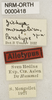 CollectionObject 1566726; 0cd0a5c4-fb88-422f-b2dd-d5261b005a59: labels (syntype). (CollectionObject).