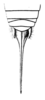 CollectionObject 1505756; ee2a8d26-a174-4663-b790-ae8baa894cb9: Pl. 1, Fig. 5a. female abdomen tip, dorsal view (Echinacris hispida; ovipositor length 37 mm). (CollectionObject).