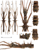 Copyright RBINS, Brussels. male (holotype). A, habitus, dorsal view. B, habitus, lateral view C, habitus, ventral view. D, head and thorax, dorsal view. E, terminalia, dorsal view. F, terminalia anterodorsal view. G, terminalia, lateral view. H, terminalia, ventral view. I, head and thorax, lateral view. Depicts CollectionObject 1583084; 156fed0e-2203-458f-8ae1-382c94c0e4c2, a CollectionObject.