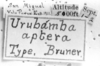 CollectionObject 1533443; e39981c4-e1cd-463d-89dd-f7d6de6774fc: labels (holotype). (CollectionObject).