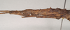 CollectionObject 1560118; 8e9da3bf-28bc-4edc-9011-2fde97c99fe0: copyright Natural History Museum, London. (CollectionObject).;CollectionObject 1560119; bc59299b-5d33-4975-9c79-9d08facc4345: copyright Natural History Museum, London. (CollectionObject).