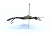 CollectionObject 1599763; MNCR 3,736,798, 32810079-61a9-4873-b0f1-551420b1a781: copyright MNCR. male, lateral view (paratype). (CollectionObject).