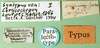 CollectionObject 1502387; c9222158-a9bb-4998-bdf9-abd311d5aaaf: labels (syntype). (CollectionObject).