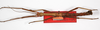 CollectionObject 1562383; bb24c673-e74e-40ee-93c7-fcfeacd4cacc: copyright ZMB, Berlin. male (syntype). (CollectionObject).;CollectionObject 1562384; d3ae3f62-92cf-49f3-89af-34838899ffec: copyright ZMB, Berlin. male (syntype). (CollectionObject).