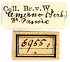 CollectionObject 1575327; 81b604da-8add-453a-b0c9-f90dfea68110: labels. (CollectionObject).