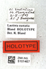labels (holotype). Depicts CollectionObject 1499157; fea1bd3f-39fa-4a84-a258-356a2a952865, a CollectionObject.