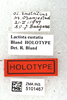 CollectionObject 1499157; fea1bd3f-39fa-4a84-a258-356a2a952865: labels (holotype). (CollectionObject).