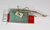 CollectionObject 1561029; 85079ec9-d42b-4414-874f-ac4ebf77f9f1: copyright ZMHB, Berlin. male, lateral view (syntype). (CollectionObject).