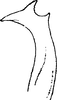 Stylus: Stylus (E. arboricola Vilbaste, 1968). (Observation).