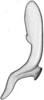 Stylus on Athysanella (Amphipyga) longicauda Beirne, 1955: from USA, Illinois; dorsal view. (Observation).