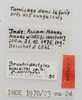 CollectionObject 1476697; a4c379a2-dec5-403b-bef7-12c3cb50fea9: labels (holotype). (CollectionObject).