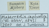 CollectionObject 1585502; f114578e-f921-421c-9381-4170ea4d4726: labels. (CollectionObject).