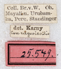 CollectionObject 1586732; 5d15d25e-007e-4d1a-a8f2-ba5c55cb1274: labels. (CollectionObject).