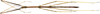CollectionObject 1584178; bfb6ebc6-7cb9-4313-9a6e-0de3f5cdda5b: copyright RBINS, Brussels. male (holotype). (CollectionObject).