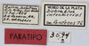 CollectionObject 1514304; a07d32c9-6cbb-4dd6-b7d5-d83b87ccf7ef, MLP3594/2: labels (paratype). (CollectionObject).