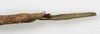 CollectionObject 1559026; NMW 779, 7e1847a0-cd7c-432d-9d71-6405e0886c23: copyright NMW, Vienna. female: end of abdomen, dorsal view (syntype). (CollectionObject).