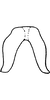 Connective on Arboridia (Arborifera) Sohi & Sandhu, 1971: Connective (A. viniferata Sohi & Sandhu). (Observation).