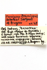 CollectionObject 1589244; 1a9bb321-6b7a-45c0-a23b-3f5642b87977: labels (paratype). (CollectionObject).