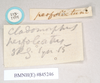 CollectionObject 1557795; 100b88d9-3229-4ab9-9131-66b329bce742: copyright Natural History Museum, London. female, data labels (syntype). (CollectionObject).;CollectionObject 1557796; f9be8530-ce59-427d-bea8-331143cb9c86: copyright Natural History Museum, London. female, data labels (syntype). (CollectionObject).