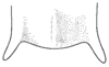 CollectionObject 1522463; ad708917-1a9b-44fd-9355-a66cd861d72c: Pl. XIX, Fig. 14 (after type). male subgenital plate, ventral view of apex. (CollectionObject).
