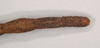 CollectionObject 1559251; 1093c59f-8e59-4f1d-8c45-0ad53cd66496: copyright Natural History Museum, London. female: end of abdomen, dorsal view of Dixippus insularis (holotype). (CollectionObject).