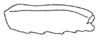 Callimenellus distinctus Gorochov & Voltshenkova, 2005: Fig. 29. mid femur. (Otu).