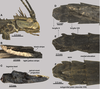 CollectionObject 1594977; d20fb8cb-ec5a-4a30-b3ef-043911fe2b43: copyright INPA. female (holotype). (CollectionObject).