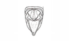 Dichroplus misionensis Carbonell, 1968: Fig. 87. male abdomen tip, dorsal view. (Otu).