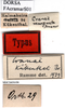 CollectionObject 1505381; a761a4b0-37c7-4b5a-98c4-3da1782ac157: labels (syntype of Cranae marginata). (CollectionObject).