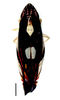 Habitus, dorsal view on Diedrocephala bimaculata (Gmelin, 1789) now Diedrocephala variegata (Fabricius, 1775): Specimen from Parque Nacional do Itatiaia, Southeastern Brazil, by C. M. F. Silva 2014. (Observation).