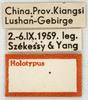 CollectionObject 1538244; c0916a09-98ef-4d96-9a0a-25b727fe70cb: labels (holotype). (CollectionObject).