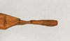 CollectionObject 1559848; 31b82a70-6ea2-4d95-bb1d-5f8c9144f294: copyright MIZ. female: end of abdomen, dorsal view of Marmessoidea phluctainoides (syntype). (CollectionObject).