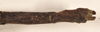 CollectionObject 1562085; 4df377aa-8c7e-43ea-883a-418c911828b5: copyright OUMNH. female: end of abdomen, dorsal view (syntype). (CollectionObject).;CollectionObject 1562086; de1335ae-5318-468c-8703-16e1e6fc2d2c: copyright OUMNH. female: end of abdomen, dorsal view (syntype). (CollectionObject).