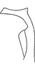 Stylus: Stylus (holotype). (Observation).