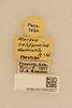CollectionObject 2077182; NHMUK016032837, 92fe597f-5cc6-4004-b70a-c6be9f202071: labels (paratype). (CollectionObject).