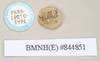 CollectionObject 1562029; eca50ffd-5ecd-4700-bb73-81f80c633884: copyright Natural History Museum, London. female, data labels of Necroscia sipylus (paralectotype). (CollectionObject).;CollectionObject 1562030; 7567f662-c345-4d65-8ecb-01c7d6d4ef45: copyright Natural History Museum, London. female, data labels of Necroscia sipylus (paralectotype). (CollectionObject).