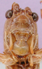 CollectionObject 1530758; 5e5dc9e4-f78b-44bc-be58-07d68236dd06: male face. (CollectionObject).