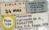 CollectionObject 1565450; deab8860-1231-4d8c-b0e9-deac4cb84bd9: labels (paratype). (CollectionObject).