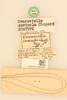 CollectionObject 2066767; NHMUK015982395, 4027d348-fe5f-4329-b9c0-02cf82ec6084: labels (paralectotype). (CollectionObject).
