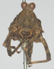 CollectionObject 1516349; f9ff5a82-b20c-4205-a799-7b551d835659: female, frontal view (holotype). (CollectionObject).