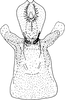 Aedeagus, ventral view: !! display not done !! on Turrutus socialis (Flor, 1861): Aedeagus, ventral view. (Observation).