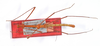 CollectionObject 1560182; c402b55a-31b7-4bdc-802a-1682b5531fe9: copyright ZMB, Berlin. male (paratype). (CollectionObject).;CollectionObject 1560183; c41a5ffd-ed43-4f7b-9cd3-0258f3494ac7: copyright ZMB, Berlin. male (paratype). (CollectionObject).